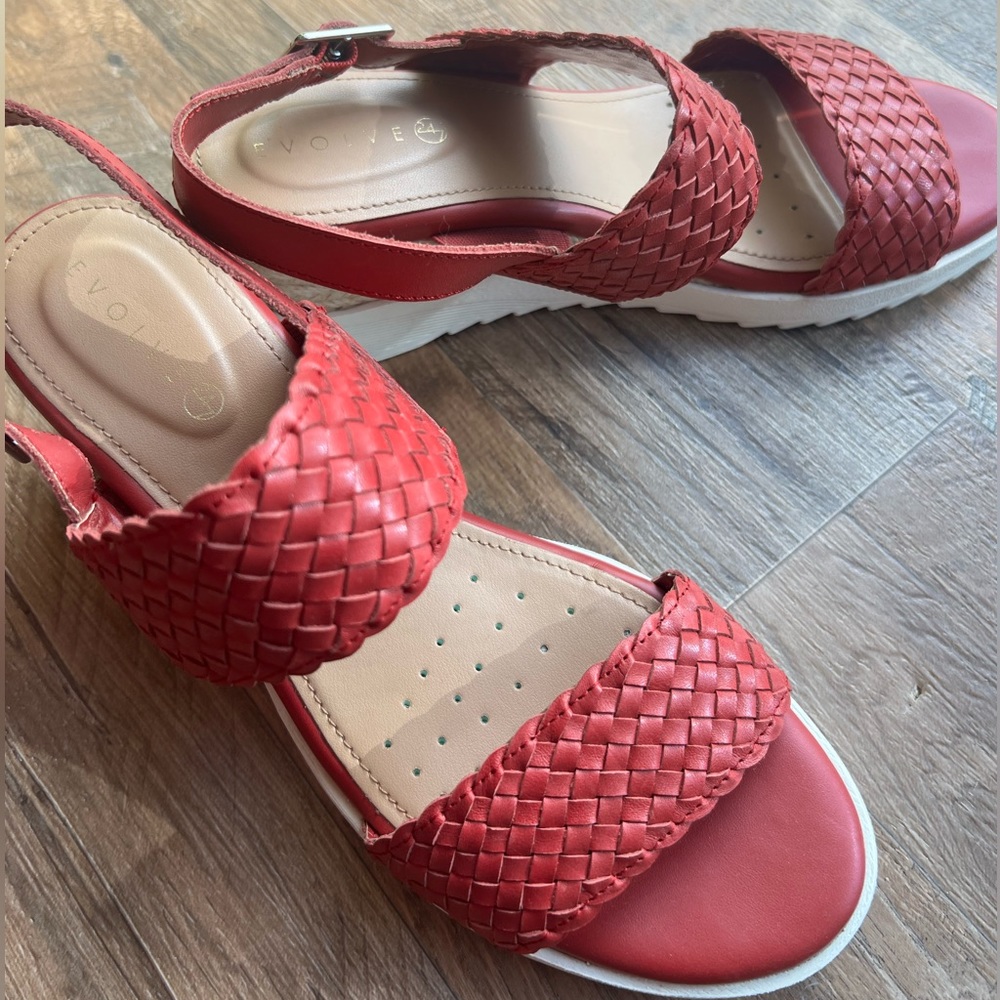 Red Wedges